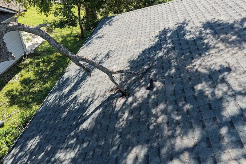 A tree limb punched through roof shingles