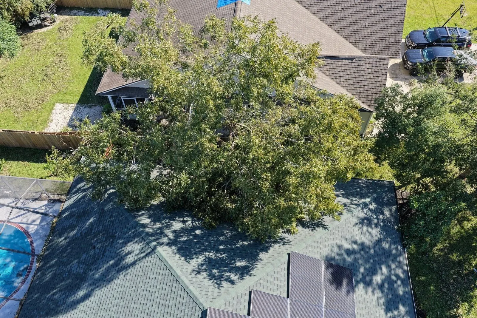 Aerial photo of an oak tree down across a roof