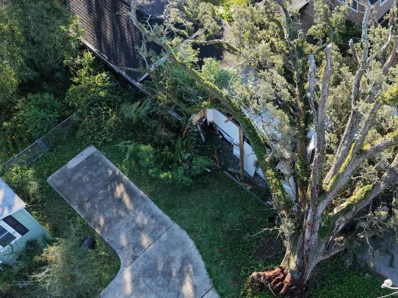Uprooted oak tree resting on a house, seen from above